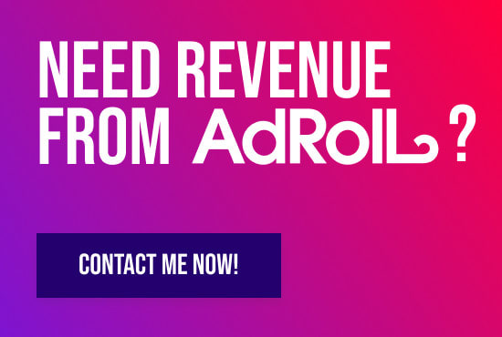 I will plan, set up, manage and optimize your adroll campaign