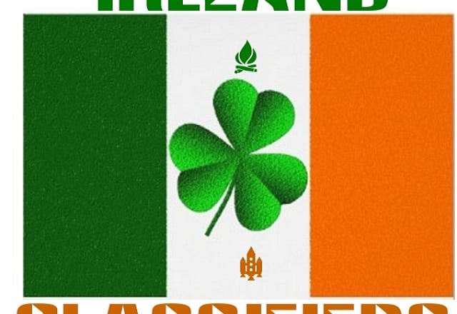 I will post your business or products in 11 ireland classified ads, irish