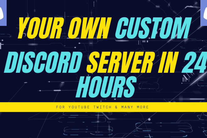 I will professionally setup discord server within 24 hours