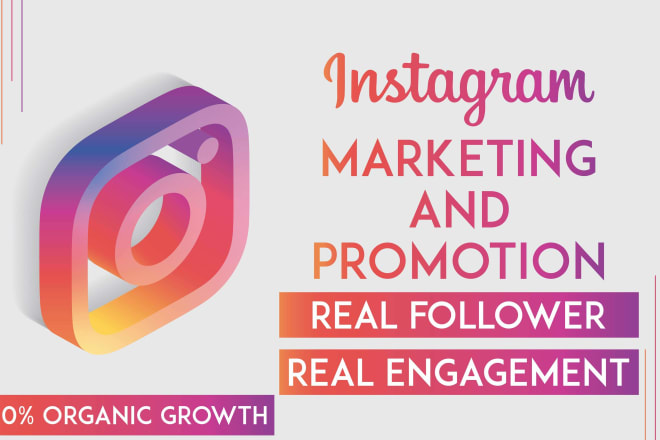 I will promote and grow your instagram organically