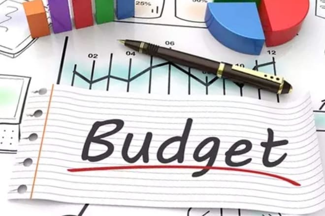 I will provide financial budgeting and forecasting services