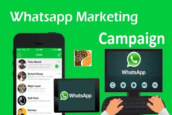 I will provide standard whatsapp marketing tools that send bulk messages