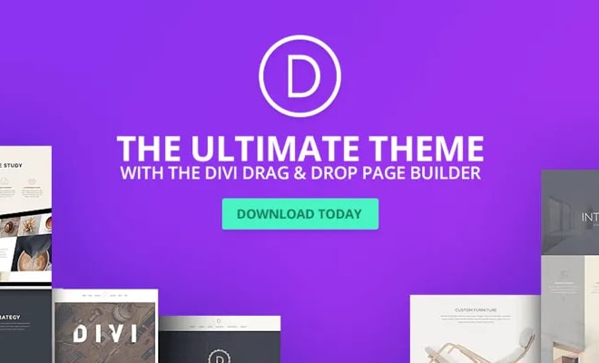 I will provide support for wordpress, elementor pro, and divi
