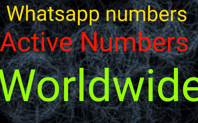 I will provide whatsapp numbers for marketing