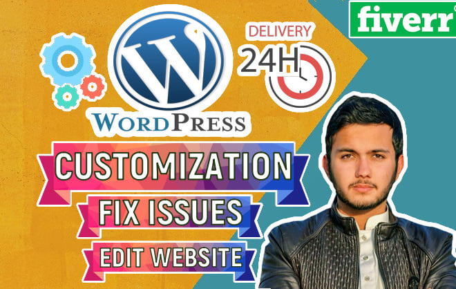 I will rebuild, edit wordpress website, wordpress customization