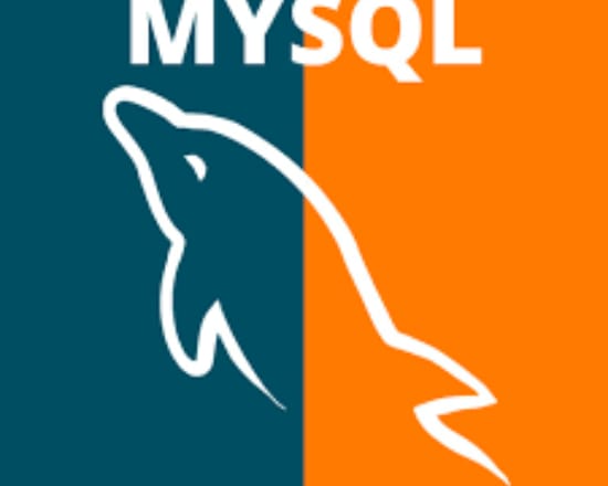 I will review and optimize your website database mysql queries
