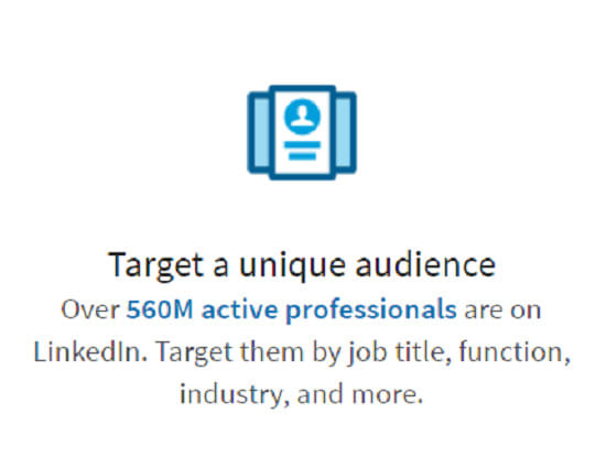 I will run targeted linkedin advertisements for your business