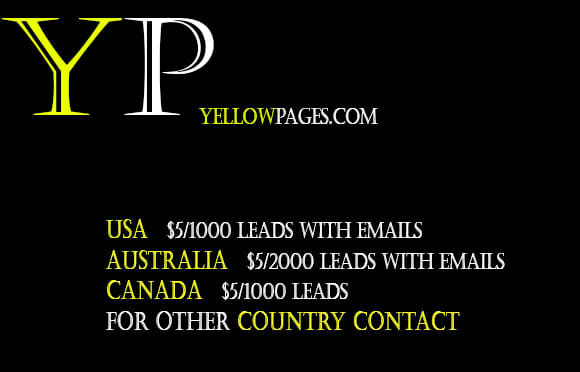 I will scrape yellowpages or business leads