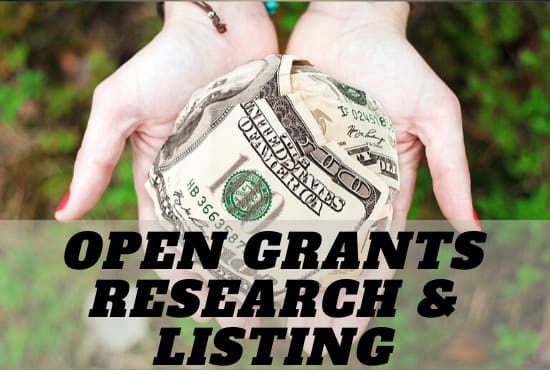 I will search grants for your social enterprise and non profit