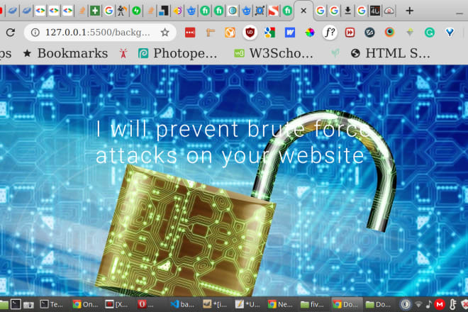 I will secure your wordpress login page from hackers