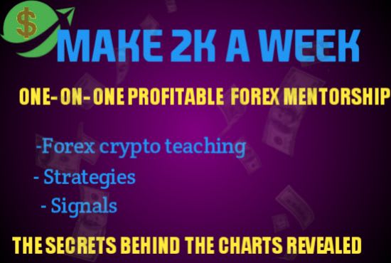 I will teach you forex or crypto trading, biginner and advance classes one on one