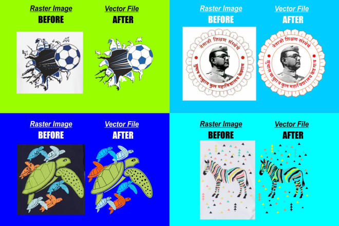 I will vector trace or redraw your image in vector format