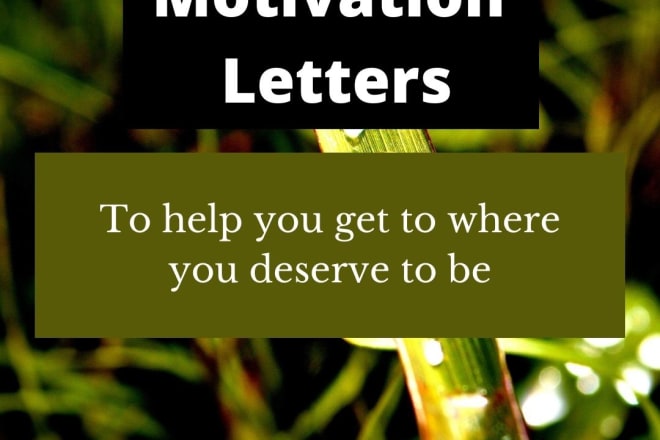 I will write a motivation letter that positively reflects you