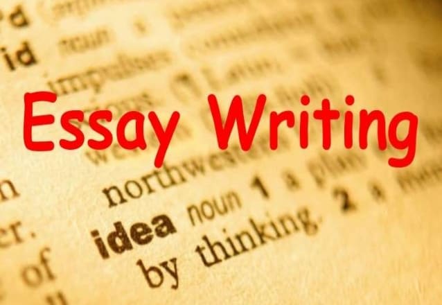 I will write a unique essay, article or paragraph on any topic