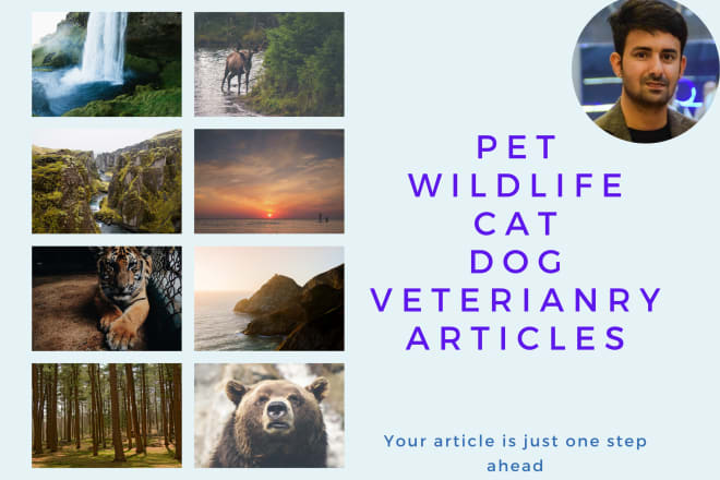 I will write SEO blog posts or articles on pets, cats, dogs, and wildlife