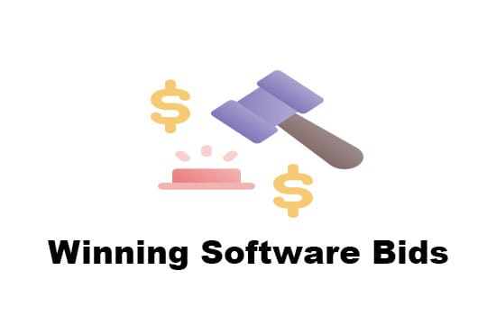 I will write winning software project bids