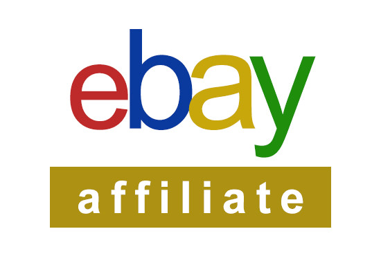 I will build automated ebay affiliate website using wordpress