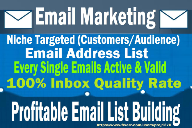 I will build niche targeted email address list