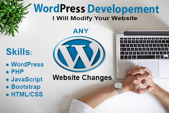 I will change font, color, text, css of wordpress website