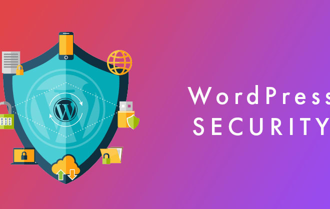 I will clean malware, virus and secure wordpress website