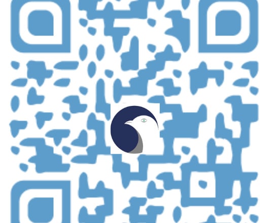 I will create a fully customized qr code in stylish shape and logo