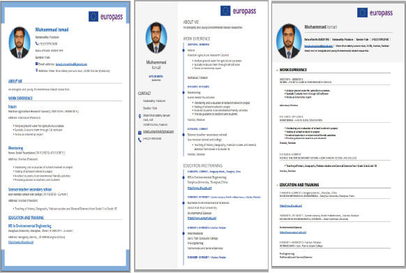 I will create a professional europass CV with three formates