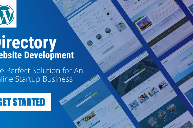 I will create a wordpress directory website perfect for an online startup business