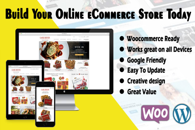 I will create, design a responsive ecommerce wordpress woocommerce website