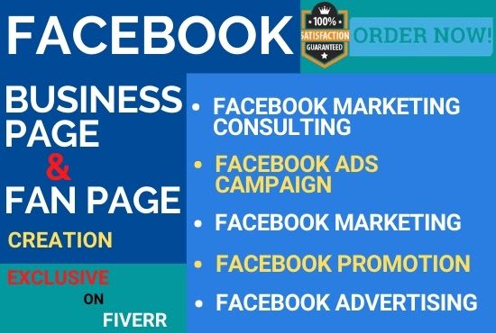 I will create facebook business page fan page and ads campaign