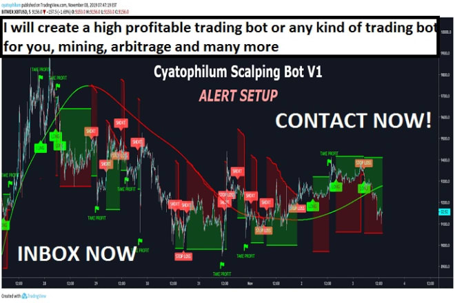 I will create profitable trading bot, forex robot, scalping bot, stock bot