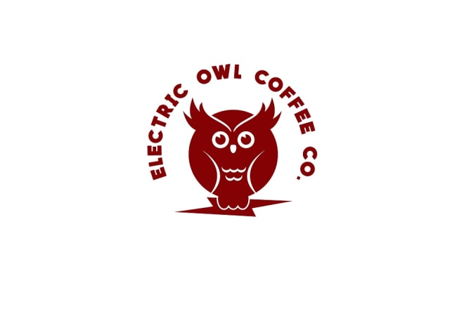 I will design awesome owl logo with express delivery