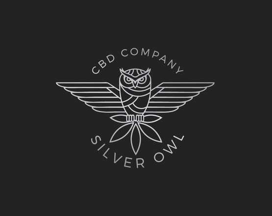 I will design creative owl company logo