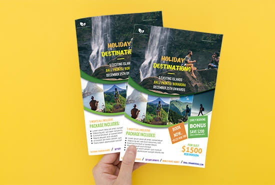 I will design premium quality business flyer bifold trifold brochure