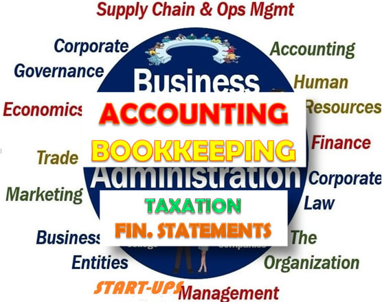 I will do accounting, bookkeeping, audit and tax