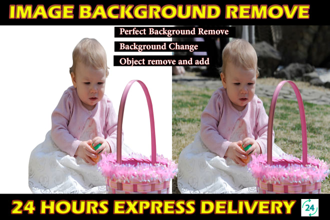 I will do background remove or change perfectly any image