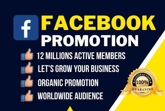 I will do facebook advertising, marketing, promotion in USA