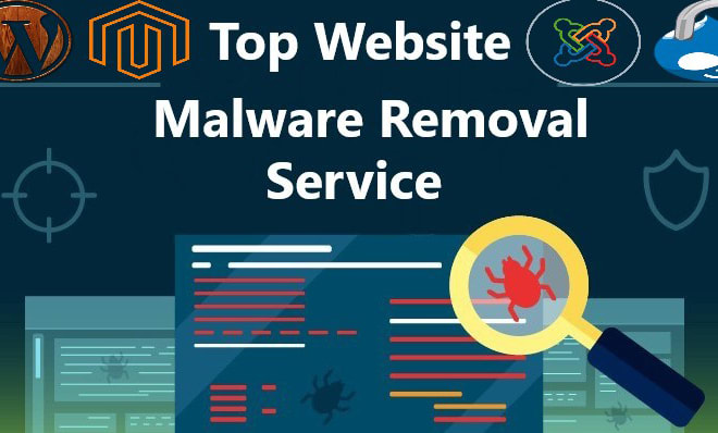I will do malware removal or virus removal from the website