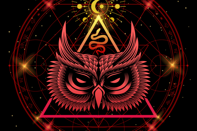 I will do owl logo design