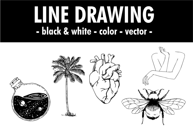 I will draw black and white line drawing vector special price fast
