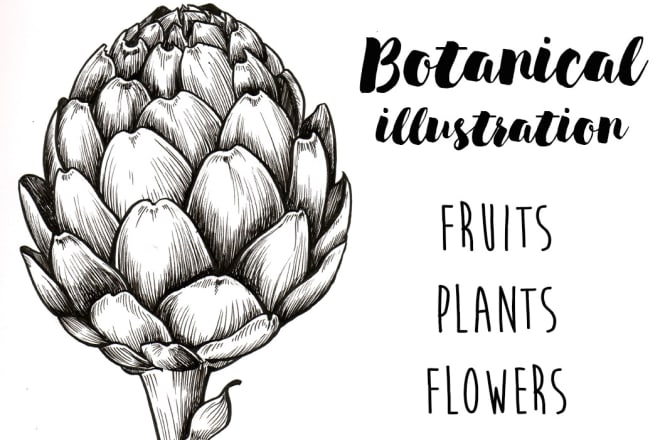 I will draw botanical illustrations of flowers, plants, fruits