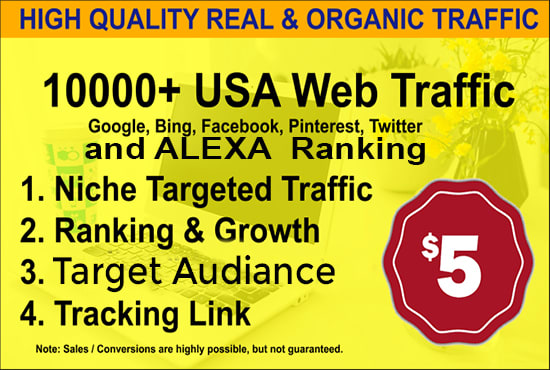 I will drive niche related targeted traffic to your websites and shopify stores