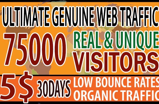 I will drive ultimate genuine web traffic for 30 days