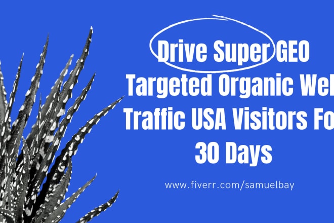 I will drive USA visitors for 30 days, unlimited targeted web traffic
