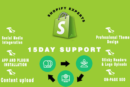 I will expert shopify theme, website, shopify design