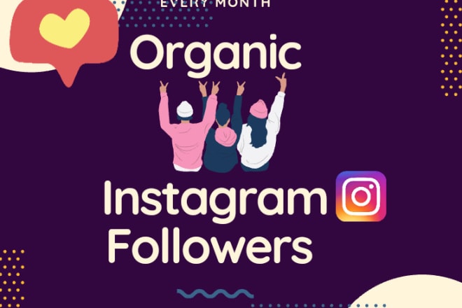 I will fast organic instagram growth