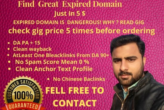 I will find great expired domains with high authority backlinks