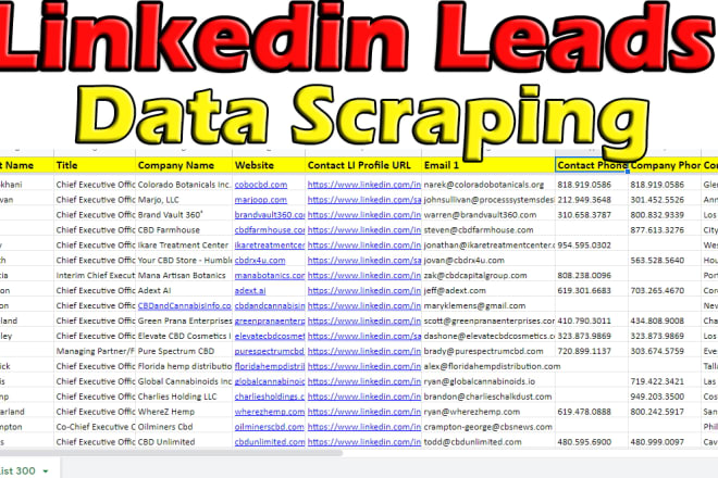 I will find linkedin leads, data scraping, email list building