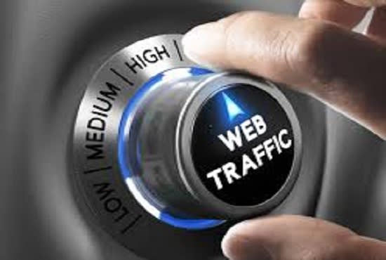 I will generate real and targeted web traffic
