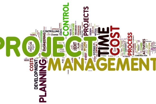 I will help you for perfect project management