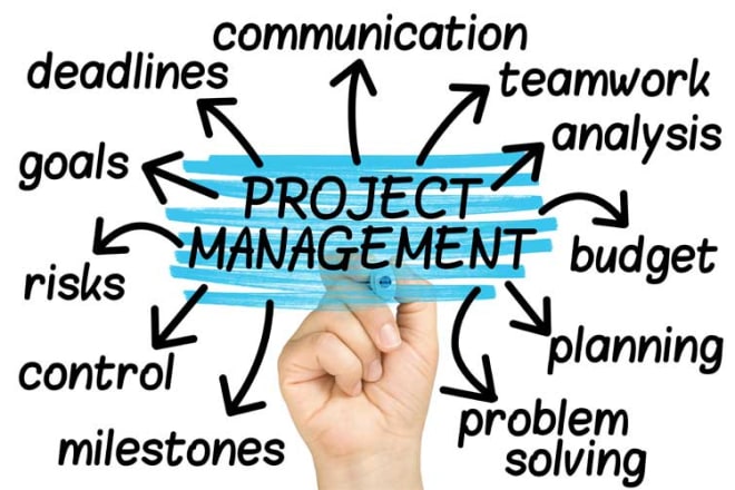 I will lift your project management execution to the next level
